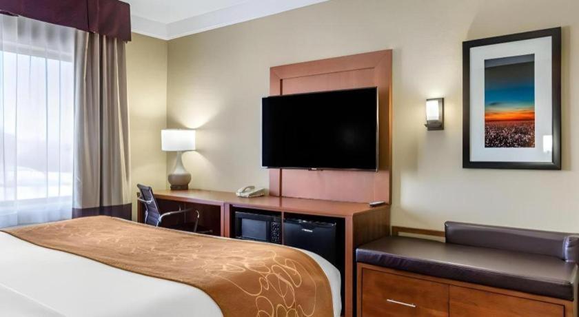 Comfort Suites Plainview Dış mekan fotoğraf